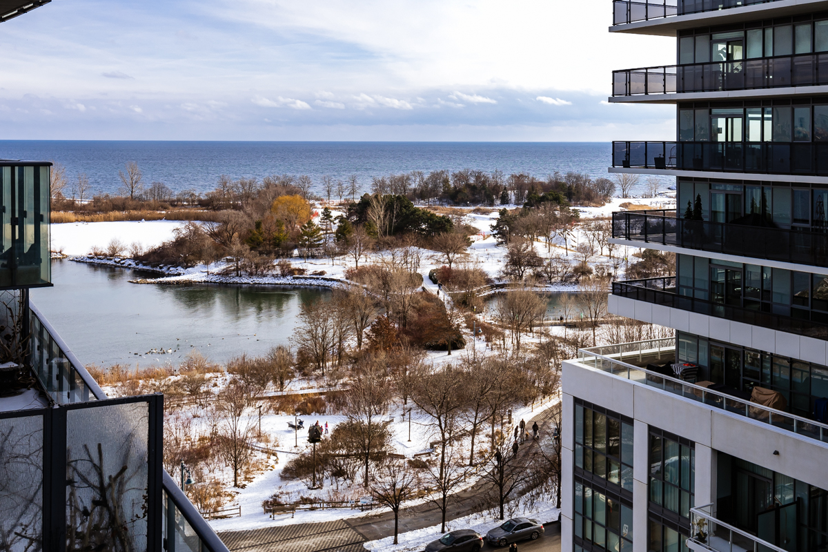 Waterfront Park View